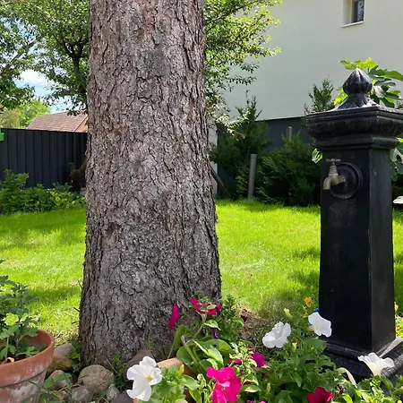 Memoriamarci - Free Bikes, Danube Band & Pilis Apartament