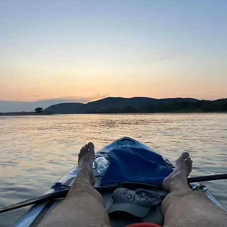 Memoriamarci - Free Bikes, Danube Band & Pilis