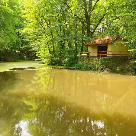 Memoriamarci - Free Bikes, Danube Band & Pilis * Pilismarot