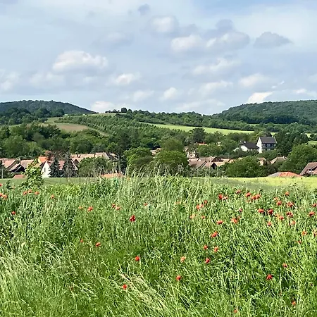 Memoriamarci - Free Bikes, Danube Band & Pilis Apartament *