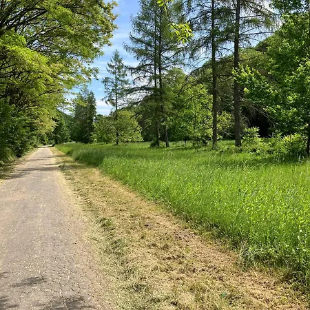 Memoriamarci - Free Bikes, Danube Band & Pilis *