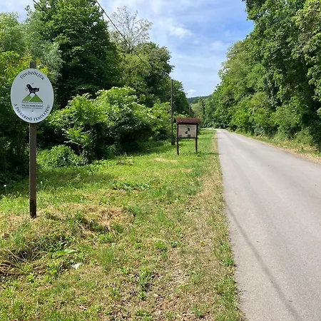 Memoriamarci - Free Bikes, Danube Band & Pilis * Pilismarot