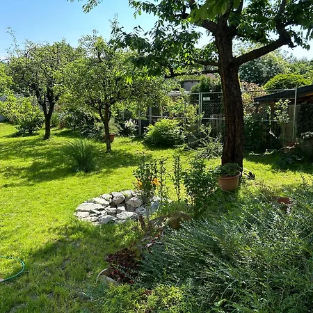 Apartament Memoriamarci - Free Bikes, Danube Band & Pilis *